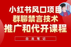 小红书风口项目日入300+，小红书群聊禁言技术代开项目，适合新手操作