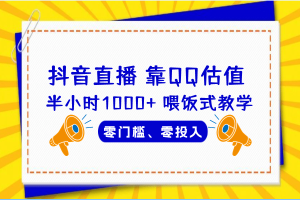 QQ号估值直播 半小时1000+，零门槛、零投入，喂饭式教学、小白首选