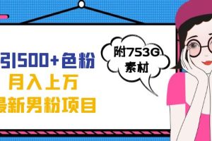 日引500+色粉轻松月入上万九月份最新男粉项目（附753G素材）