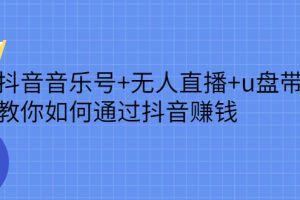 抖音音乐号+无人直播+u盘带货，教你如何通过抖音赚钱