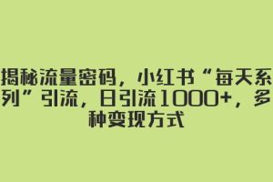 揭秘流量密码，小红书“每天系列”引流，日引流1000+，多种变现方式