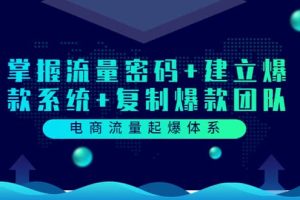 电商流量起爆体系：掌握流量密码+建立爆款系统+复制爆款团队（价值599）