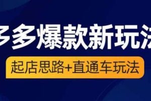 2023拼多多爆款·新玩法：起店思路+直通车玩法（3节精华课）