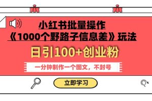 小红书批量操作《1000个野路子信息差》玩法 日引100+创业粉 一分钟一个图文