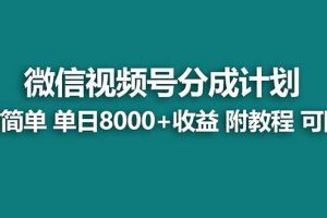 【蓝海项目】视频号分成计划最新玩法，单天收益8000+，附玩法教程