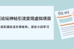 天涯论坛神帖引流变现虚拟项目，一条龙实操玩法分享给你（教程+资源）