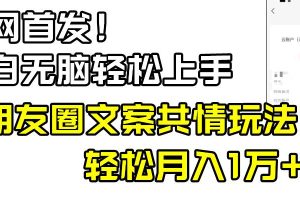 小白轻松无脑上手，朋友圈共情文案玩法，月入1W+