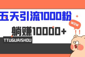 5天引流1000+，赚了1w+