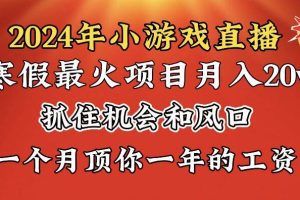 2024年寒假爆火项目，小游戏直播月入20w+，学会了之后你将翻身