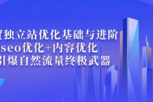 外贸独立站优化基础与进阶，seo优化+内容优化+引爆自然流量终极武器