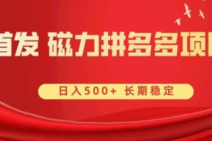 首发 磁力拼多多自撸  日入500+