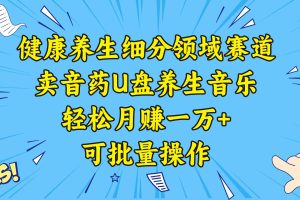 健康养生细分领域赛道，卖音药U盘养生音乐，轻松月赚一万+，可批量操作