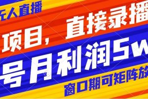 风口项目，小红书无人直播带货，直接录播，可矩阵，月入5w+