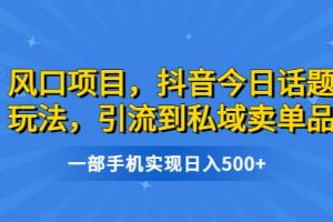 风口项目，抖音今日话题玩法，引流到私域卖单品，一部手机实现日入500+