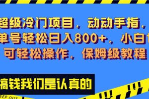 超级冷门项目,动动手指，单号轻松日入800+，小白也可轻松操作，保姆级教程