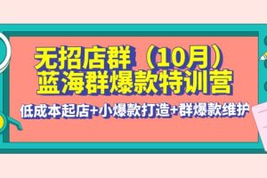 无招店群·蓝海群爆款特训营(10月新课) 低成本起店+小爆款打造+群爆款维护