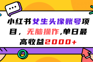 小红书女生头像账号项目，无脑操作，单日最高收益2000+