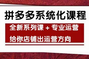 车神陪跑，拼多多系统化课程，全新系列课+专业运营给你店铺出运营方向