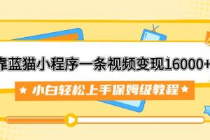 靠蓝猫小程序一条视频变现16000+小白轻松上手保姆级教程（附166G资料素材）