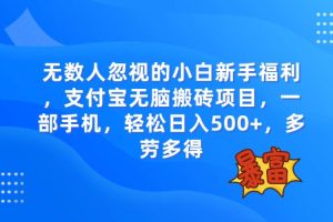 无数人忽视的项目，支付宝无脑搬砖项目，一部手机即可操作，轻松日入500+