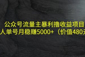 公众号流量主暴利撸收益项目，单人单号月稳赚5000+（价值480元）