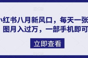 八月新风口，小红书虚拟项目一天收入1000+，实战揭秘