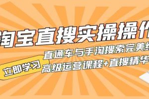 淘宝直搜实操操作 直通车与手淘搜索完美结合（高级运营课程+直搜精华实战）