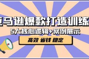 亚马逊爆款打造训练营：5大核心逻辑+案例展示 打造爆款链接 高效 省钱 稳定