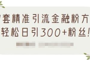 1套精准引流金融粉方法，轻松日引300+粉丝【视频课程】