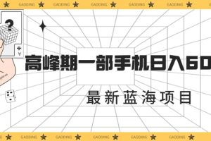 最新蓝海项目，一年2次爆发期，高峰期一部手机日入6000+（素材+课程）