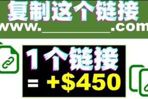 复制链接赚美元，一个链接可赚450+，利用链接点击即可赚钱的项目(视频教程)