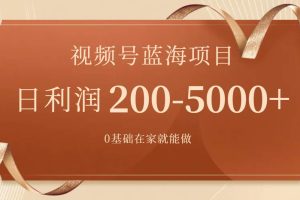 视频号蓝海项目，0基础在家也能做，一天200-5000+【附266G资料】