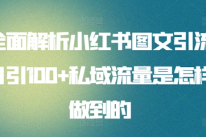 全面解析小红书图文引流日引100私域流量是怎样做到的