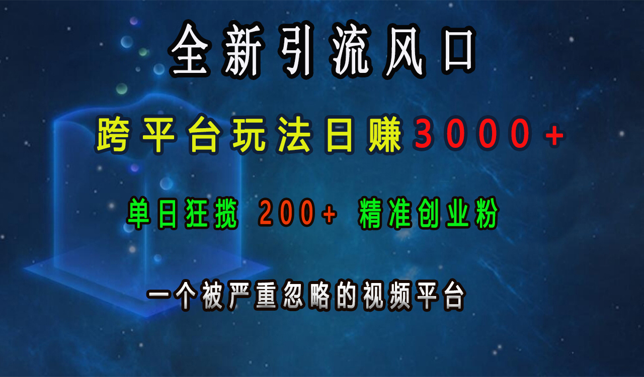 全新引流风口，跨平台玩法日赚3000+，单日狂揽200+精准创业粉，一个被严重忽略的视频平台