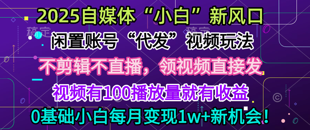 2025每月躺赚5w+新机会，闲置视频账号一键代发玩法，0粉不实名不剪辑，领了视频直接发，0基础小白也能日入300+ - 文章缩略图