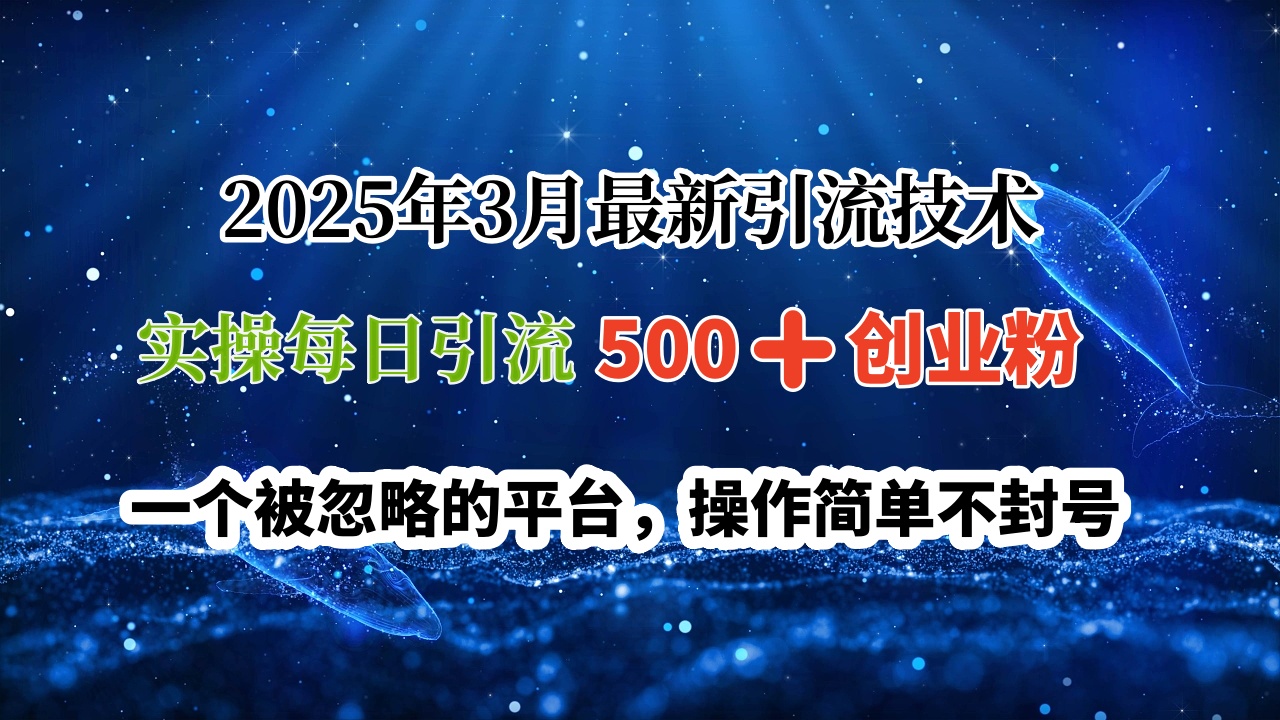 2025年3月最新引流技术，实操每日引流500➕创业粉，一个被忽略的平台，操作简单不封号 - 文章缩略图