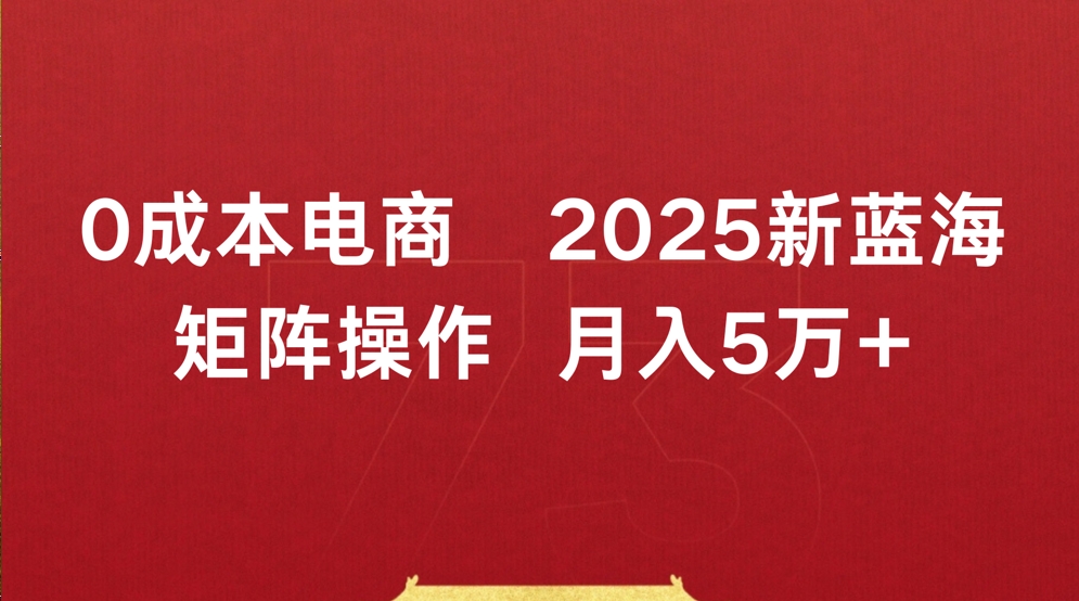 0成本电商2025新蓝海矩阵操作 月入5万+ - 文章缩略图