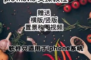 漆十二美食摄影，25​节promovie实操高手课节