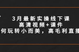 3月最新实操线下课高清视频+课件，如何玩转小而美，高毛利直播间