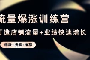 流量爆涨训练营：打造店铺流量+业绩快速增长 (爆款+搜索+推荐)